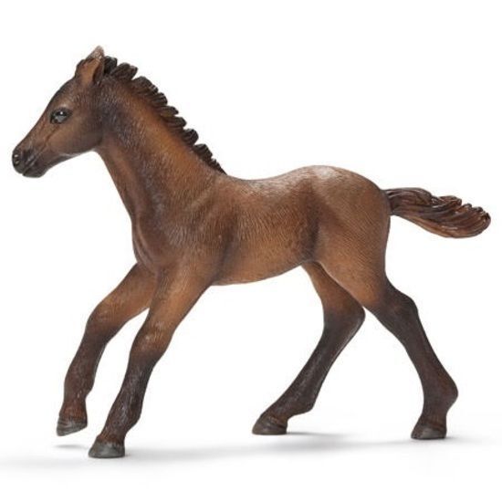 Buy Schleich - Camargue Foal 13712