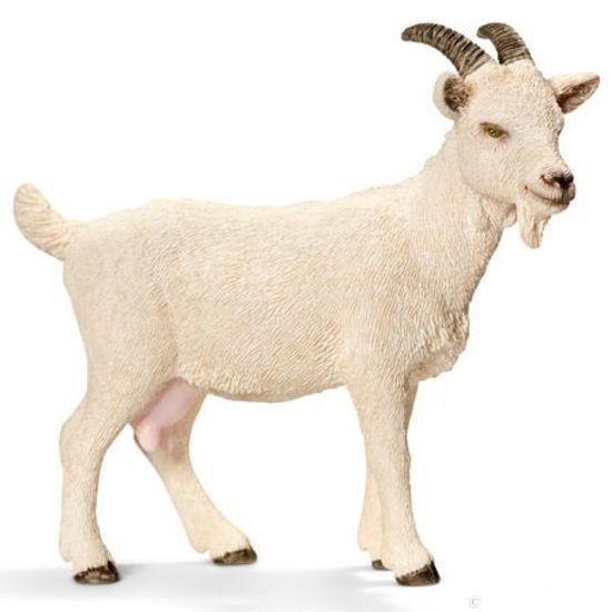 Buy Schleich - Domestic Goat 13719