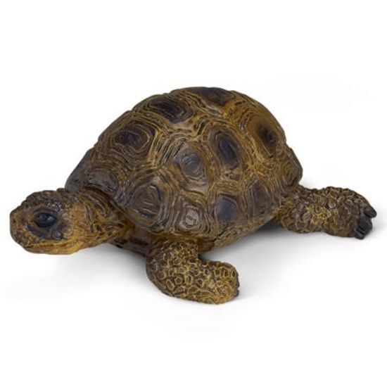 Buy Schleich - Tortoise 14404