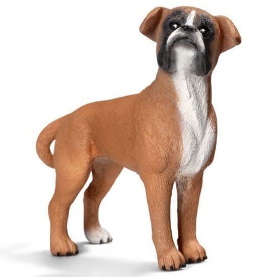 Buy Schleich - Boxer, Female 16390