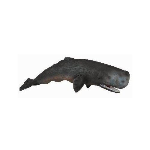 Buy Collecta - Sperm Whale 88391