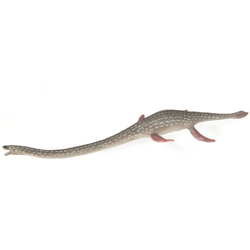 Collecta - Elasmosaurus 88922