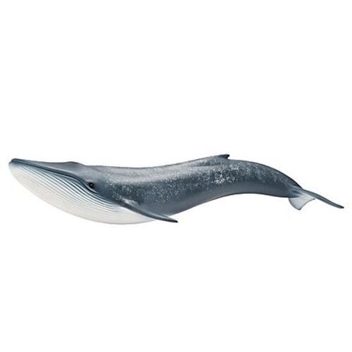 Buy Schleich - Blue Whale 14696